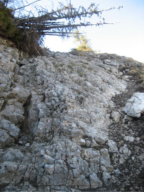 spitzing2007ww018.jpg