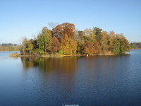 Zum Vergrößern von staffelsee2016ww16.jpg auf das Bild klicken