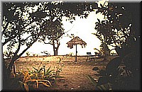 sdsee1990dia010.jpg