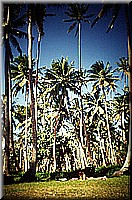 sdsee1990dia072.jpg