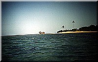 sdsee1990dia081.jpg