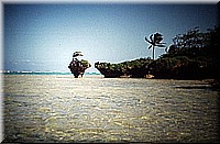 sdsee1990dia084.jpg