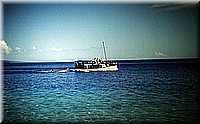sdsee1990dia100.jpg