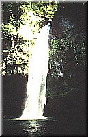 sdsee1990dia107.jpg