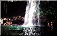 sdsee1990dia110.jpg