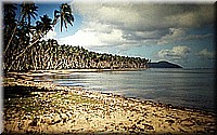 sdsee1990dia114.jpg