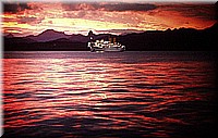 sdsee1990dia173.jpg