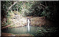 sdsee1990dia177.jpg