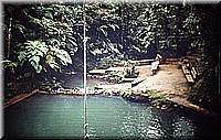 sdsee1990dia183.jpg