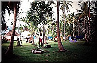 sdsee1990dia198.jpg
