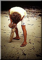 sdsee1990dia210.jpg