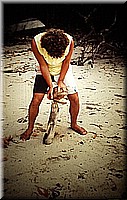 sdsee1990dia211.jpg