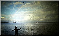 sdsee1990dia214.jpg