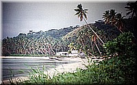 sdsee1990dia221.jpg