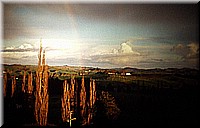 sdsee1990dia235.jpg