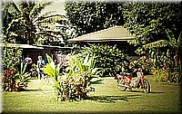 sdsee1990dia295.jpg