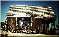 sdsee1990dia323.jpg