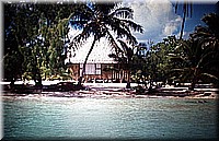 sdsee1990dia324.jpg