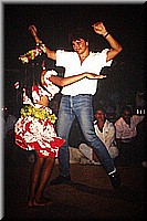 sdsee1990dia336.jpg