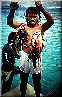 sdsee1990dia341.jpg