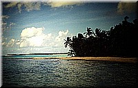sdsee1990dia350.jpg