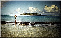 sdsee1990dia354.jpg