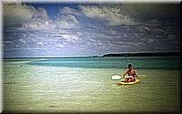 sdsee1990dia367.jpg