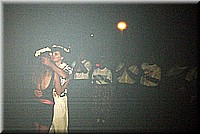 sdsee1990dia394.jpg