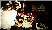 sdsee1990dia406.jpg