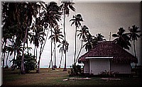 sdsee1990dia465.jpg