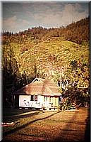 sdsee1990dia467.jpg