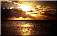 sdsee1990dia469.jpg