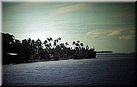 sdsee1990dia480.jpg