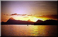 sdsee1990dia488.jpg