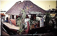sdsee1990dia489.jpg