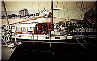 sdsee1990dia491.jpg