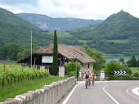 Zum Vergrößern von tramin2018ww02.jpg auf das Bild klicken
