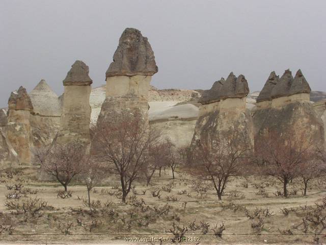 tuerkei2002i63nr145.jpg
