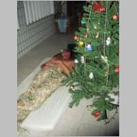 brasilien2002nr227.jpg
