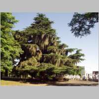 uruguay2002nr087.jpg