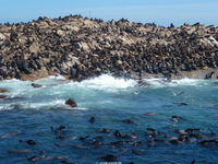 Click to enlarge westkap2011ww914.jpg